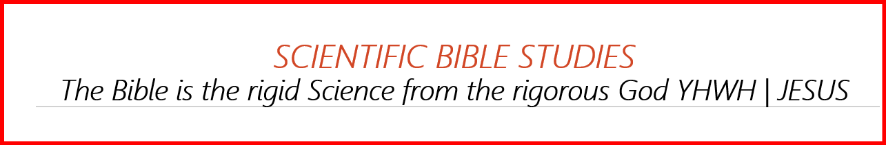 Rigid bible